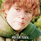 Peregrin Took
