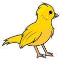 Canary 