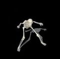 LARRY SKELLYBONES