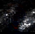 Luno Wolf
