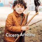 Cicero Andino
