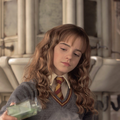 fan hermione