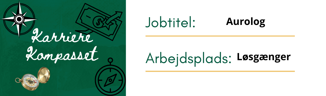 Karriere Kompasset #12 – Aurolog