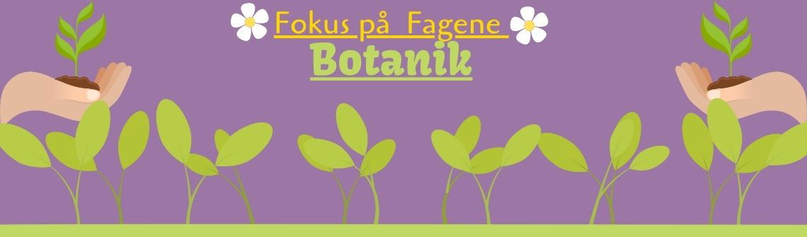 Fokus på Fagene - Botanik