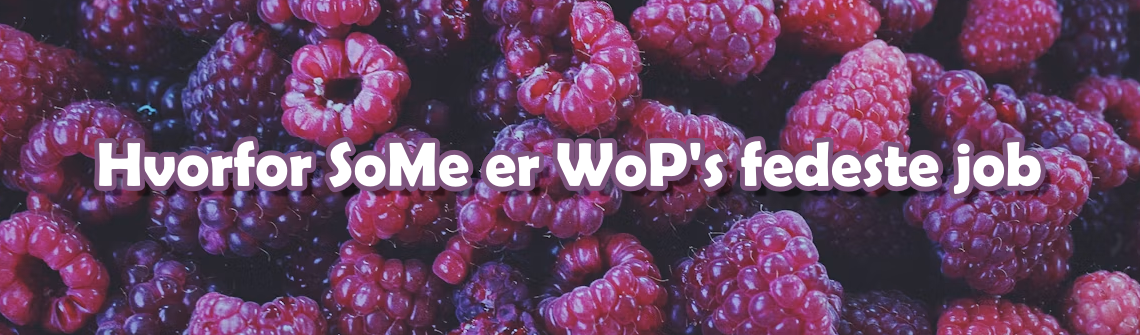 Hvorfor SoMe er WoP's fedeste job