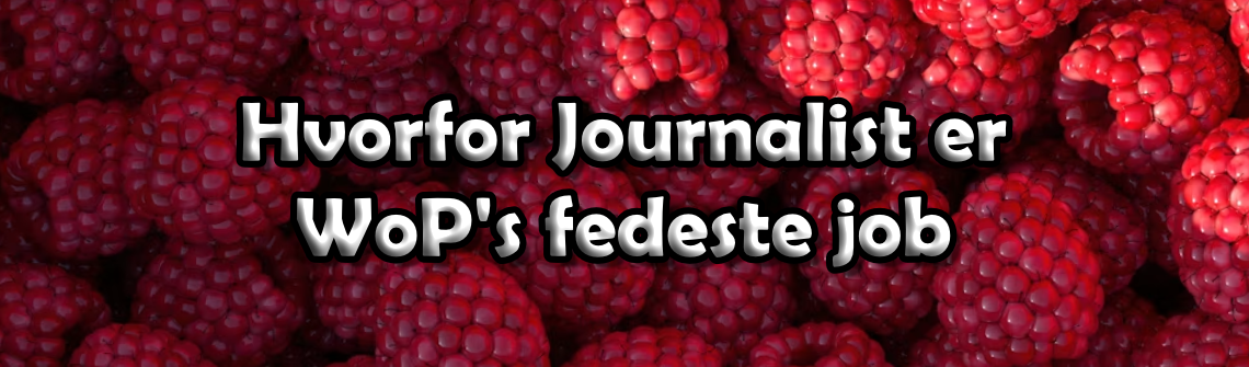 Hvorfor journalist er WoP's fedeste job
