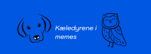 Kæledyrene i memes!