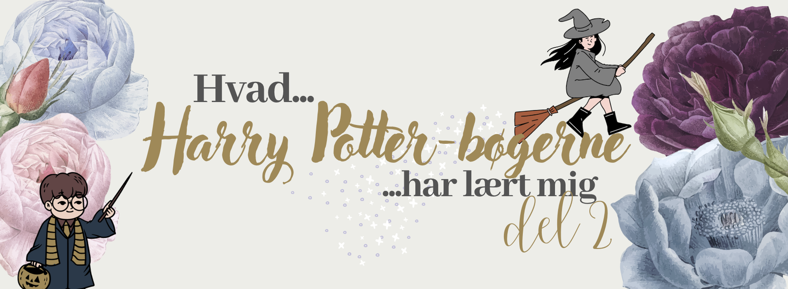 Hvad Harry Potter-bøgerne har lært mig – del 3