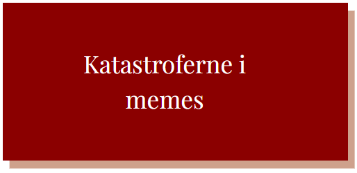 Katastroferne i memes