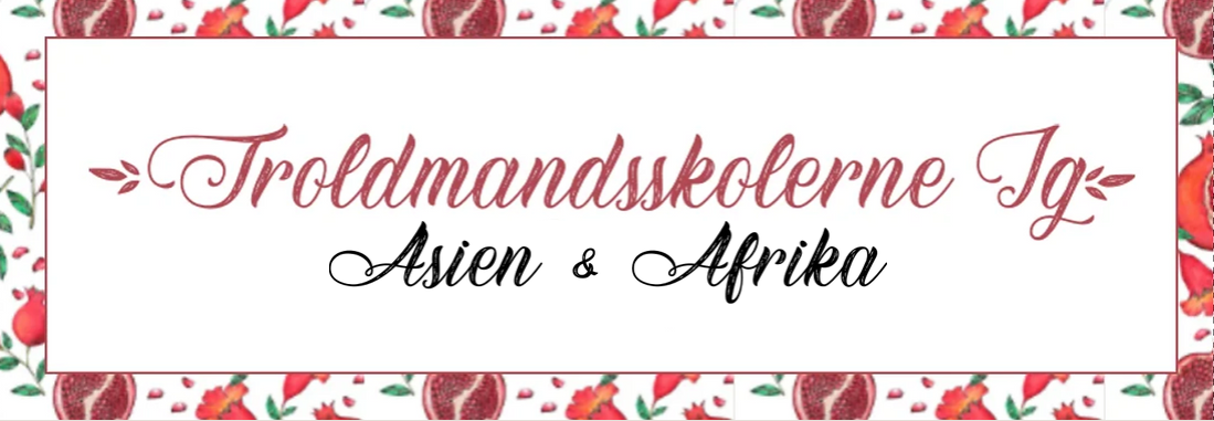 Troldmandsskolerne IG: Afrika & Asien