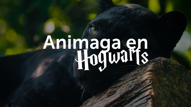 Una animaga en Hogwarts: Eyrene Maatkara