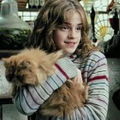CELESTE POTTER