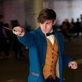 Tommie Scamander