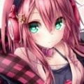 Quinn cat