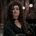 Bellatrixxxx Lestrange