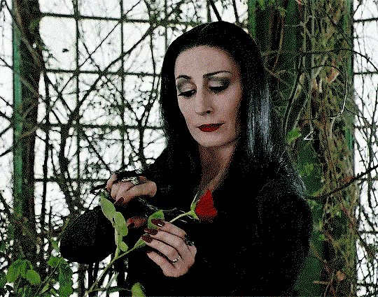 Vesper Nightbloom