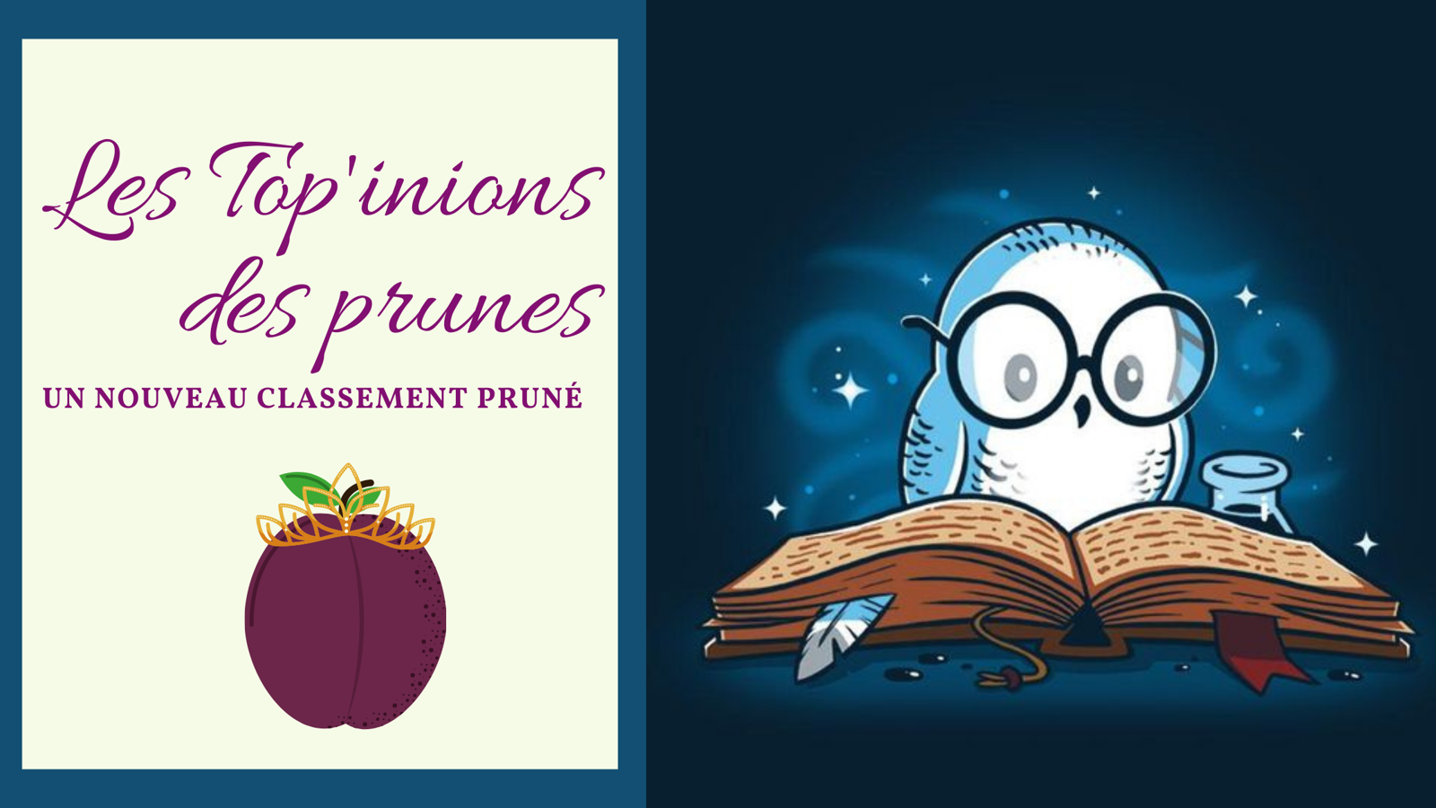 Les top'inions des prunes : Les horcruxes