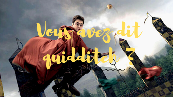 Vous avez dit quidditch ? - Quizz n° 2