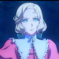 Cattleya Belmont