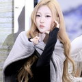 Olivendryne Noire