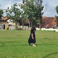 Roulla Cetta