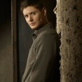 Jace Angels