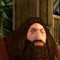 hagrid ponting