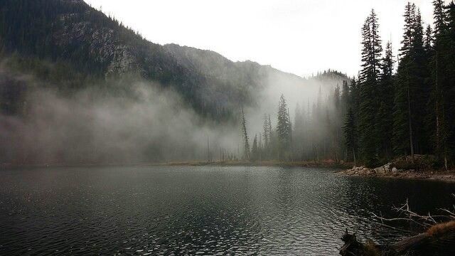 ✍ || Weekly Roleplay Prompt #042 :: January 2026 | Ash Moon, Y11 :: ᴡᴀᴛᴇʀʟᴏɢɢᴇᴅ