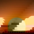 Moth Dunewind