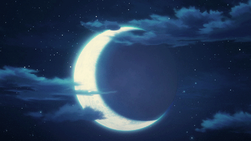 Misty Night