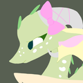 Honeydew Lily