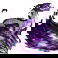 Fateful Bringer