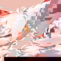 Star explosion