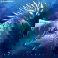 Frostbreath Icewing