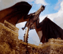 Aurelianastra LaDarkwater-Luminaryn