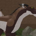 Micheal Tail