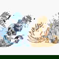 Eli Fall