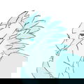 Dragon Friend