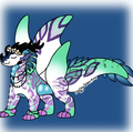 Holly Aurora