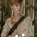 Newt Woods