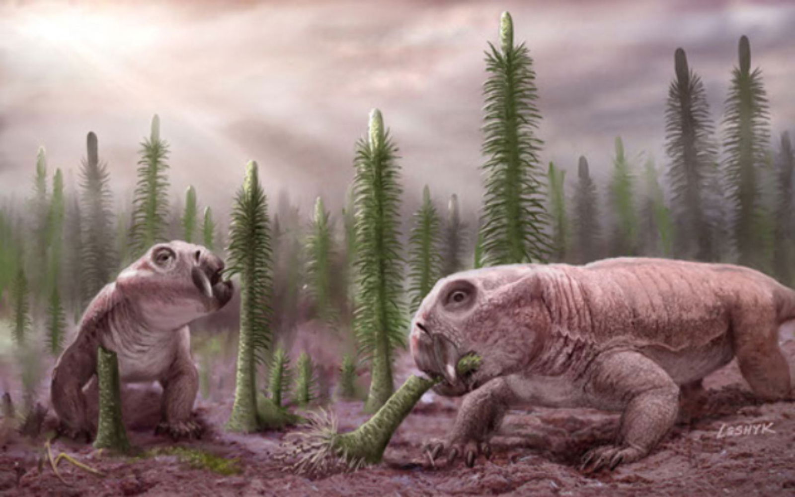 Lystrosaurus: The burrow digging pig