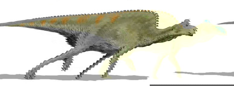 Edmontosaurus: The Social Duck-Billed Dinosaur