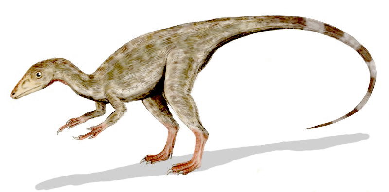 Compsognathus: The Chicken-Sized Dinosaur