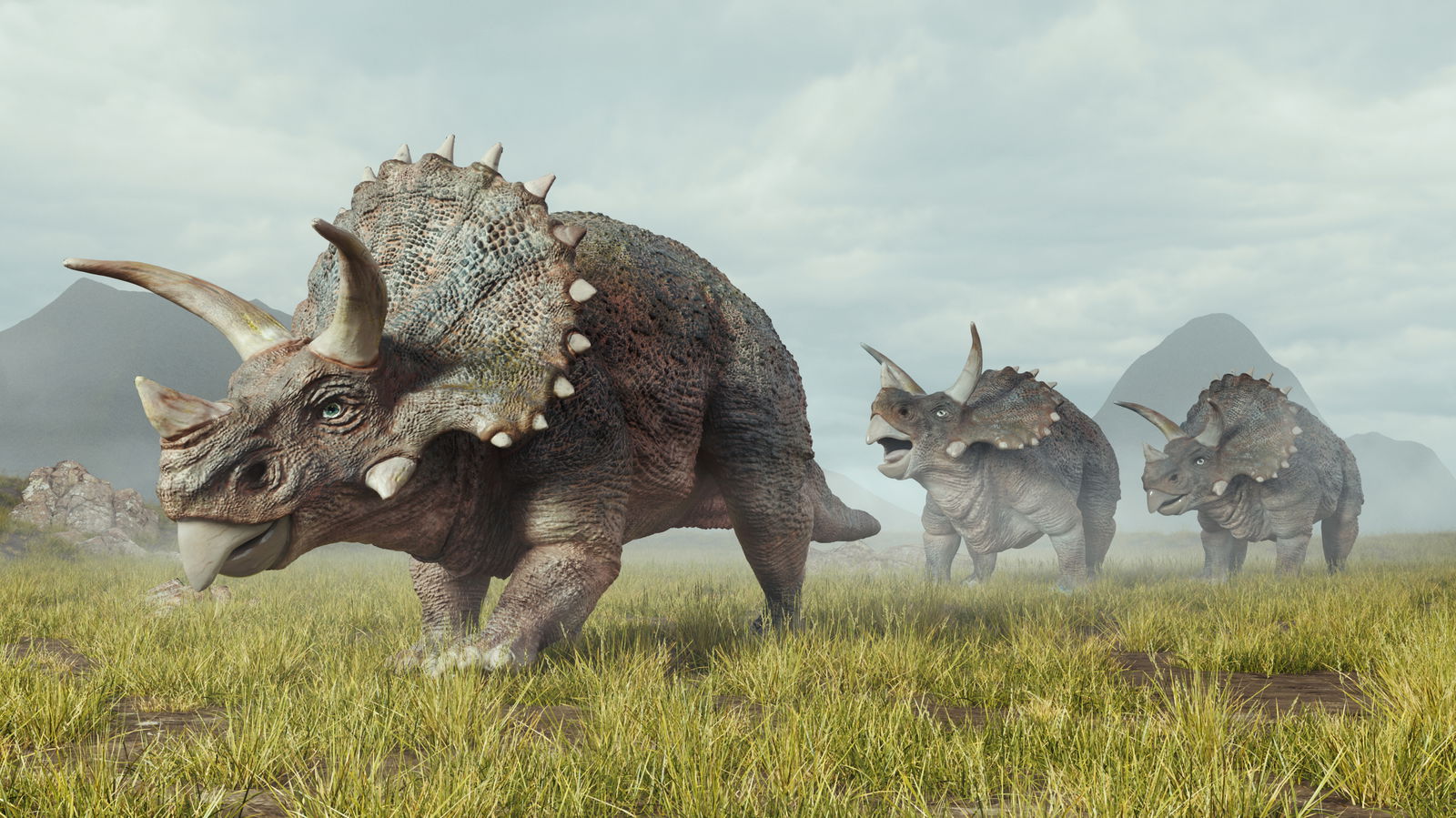 Triceratops: The King of Horns, the Coolest One of Them All!