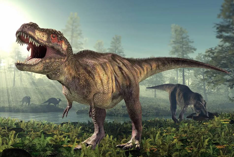 Tyrannosaurus Rex, the King of the Dinosaurs: A Journey Through Time!