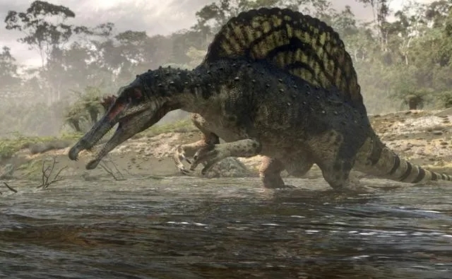 Spinosaurus: The Real King of the Dinosaurs?