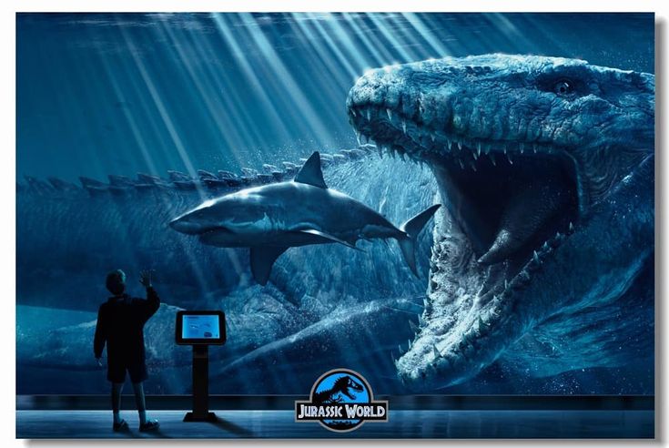 The Mosasaurus -Extinction, life, and fossils