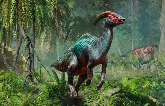 The Mystery of the  Parasaurolophus’ Crest