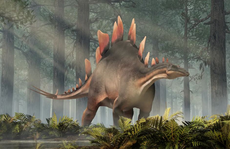 Stegosaurus: The Herbivorous Warrior of the Jurassic
