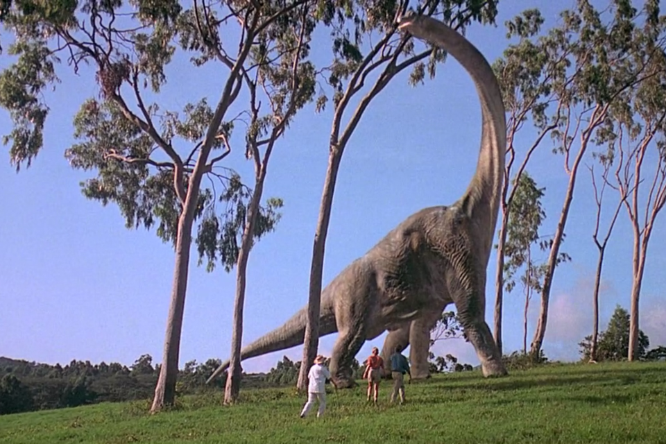 Brontosaurus: The great herbivore that dominated prehistory